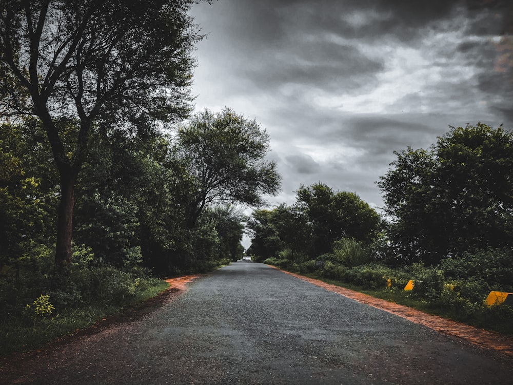 gray asphalt road between green trees under gray cloudy sky
