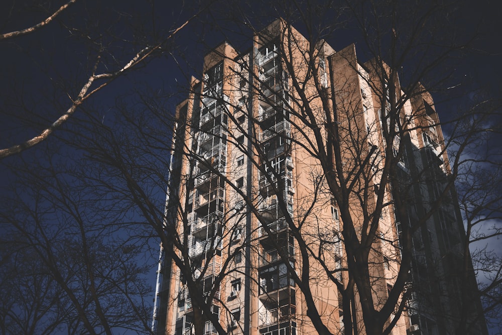 bare trees near brown concrete building during night time