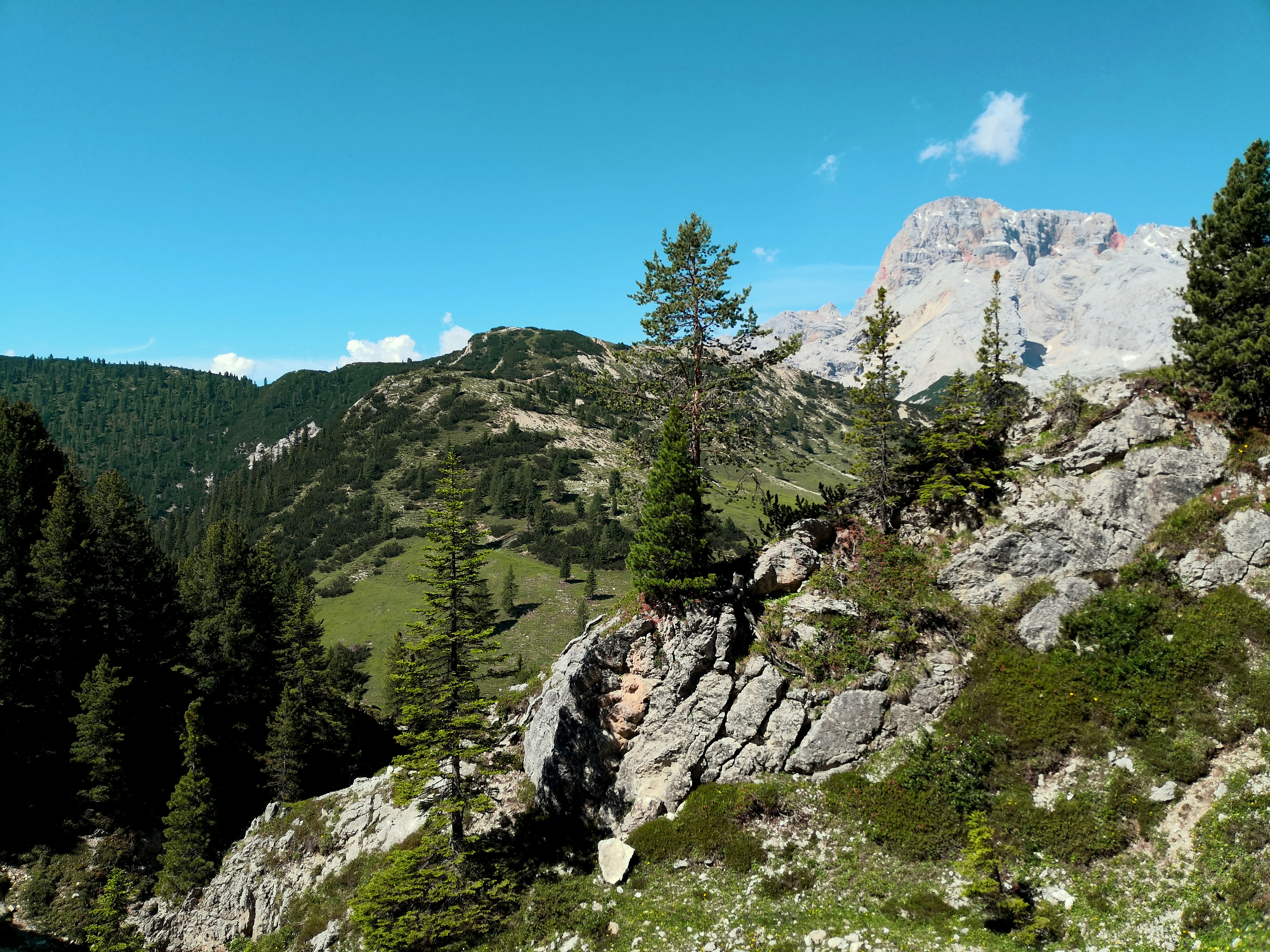 Photo by mattiabericchia