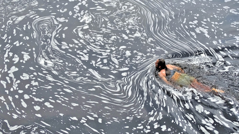 Anatra marrone sull'acqua durante il giorno