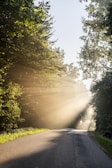 gray asphalt road between green grass and trees during daytime