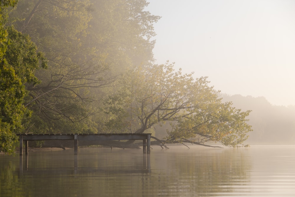 brown wooden bench near body of water during daytime