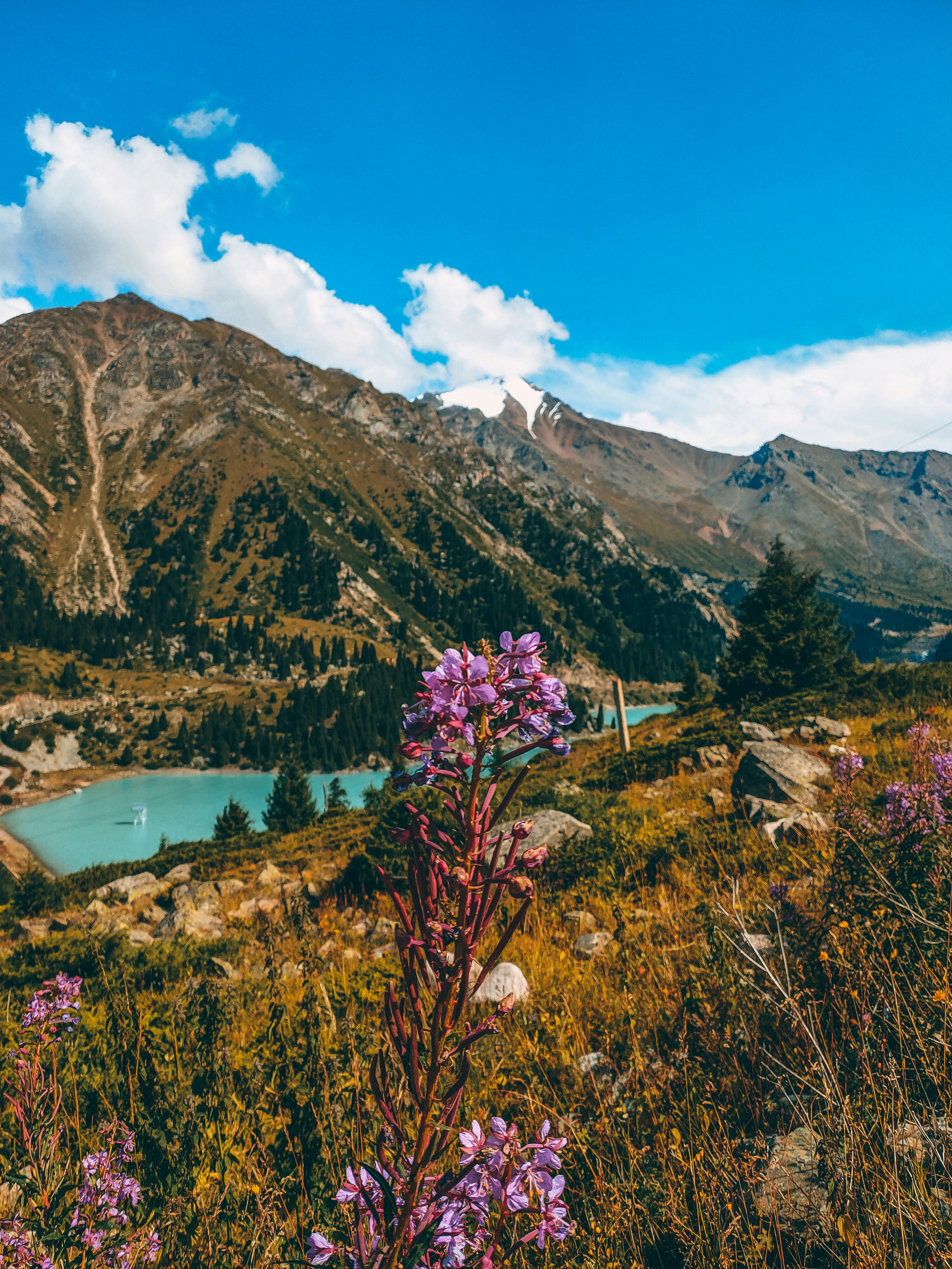 Photo by akmaralhood