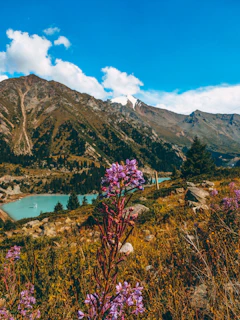 A completed scenic puzzle showing a vibrant landscape with mountains and a lake.