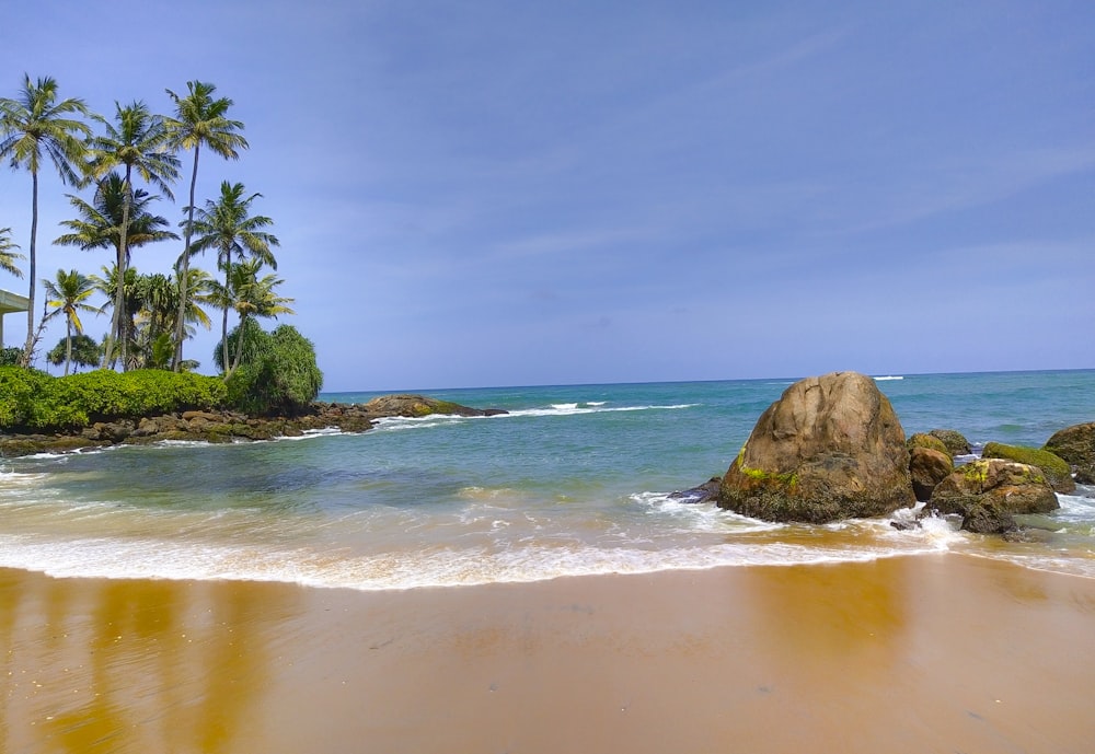 brown rock formation on sea shore during daytime