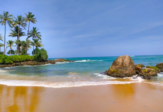 Mount Lavinia things to do in Galle Face
