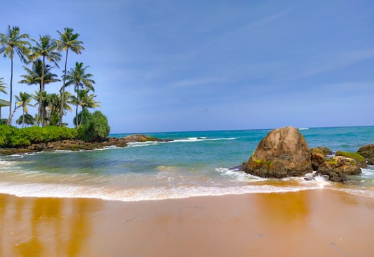 brown rock formation on sea shore during daytime in Mount Lavinia Sri Lanka