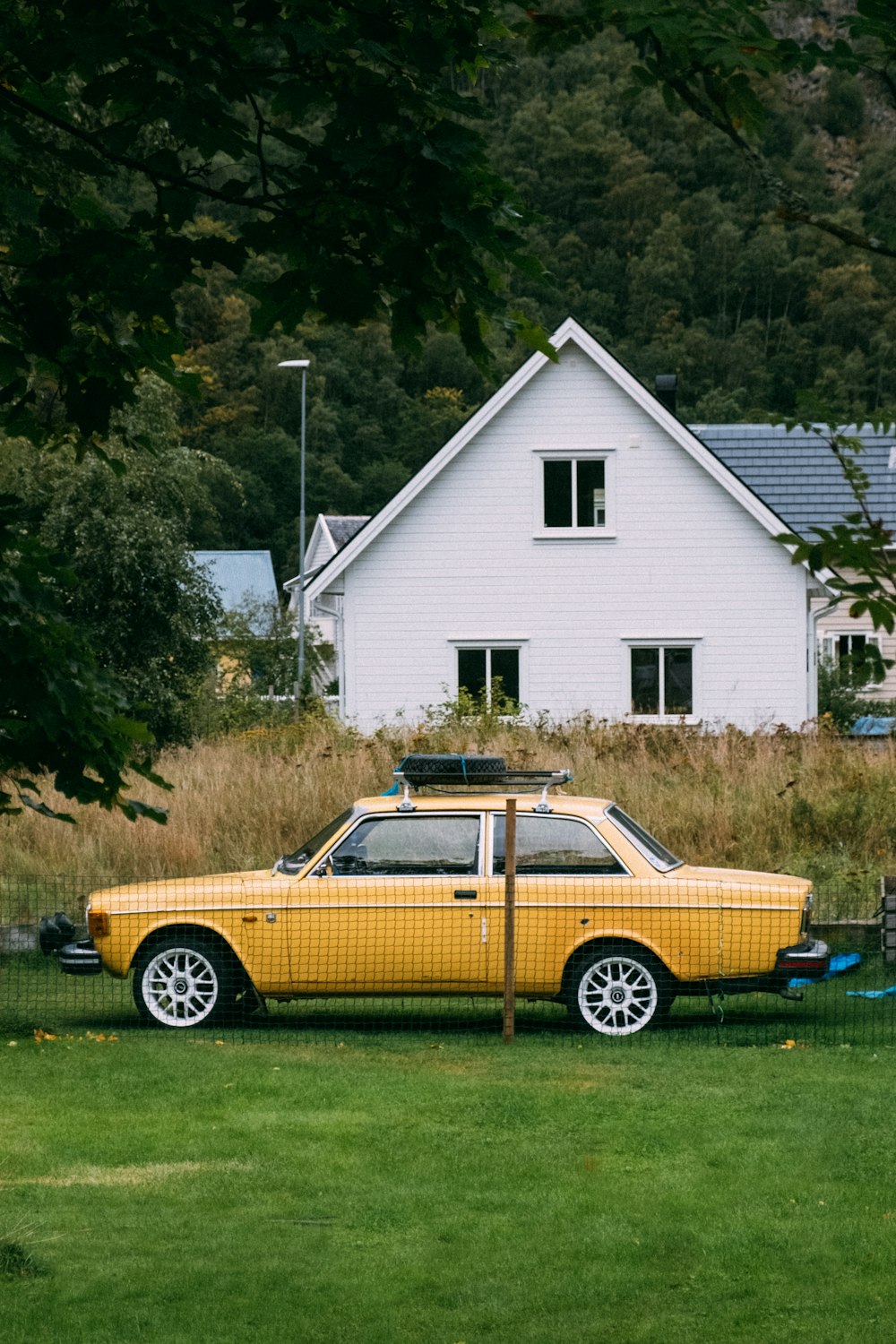 Braun-weißer Oldtimer tagsüber neben grünen Bäumen geparkt