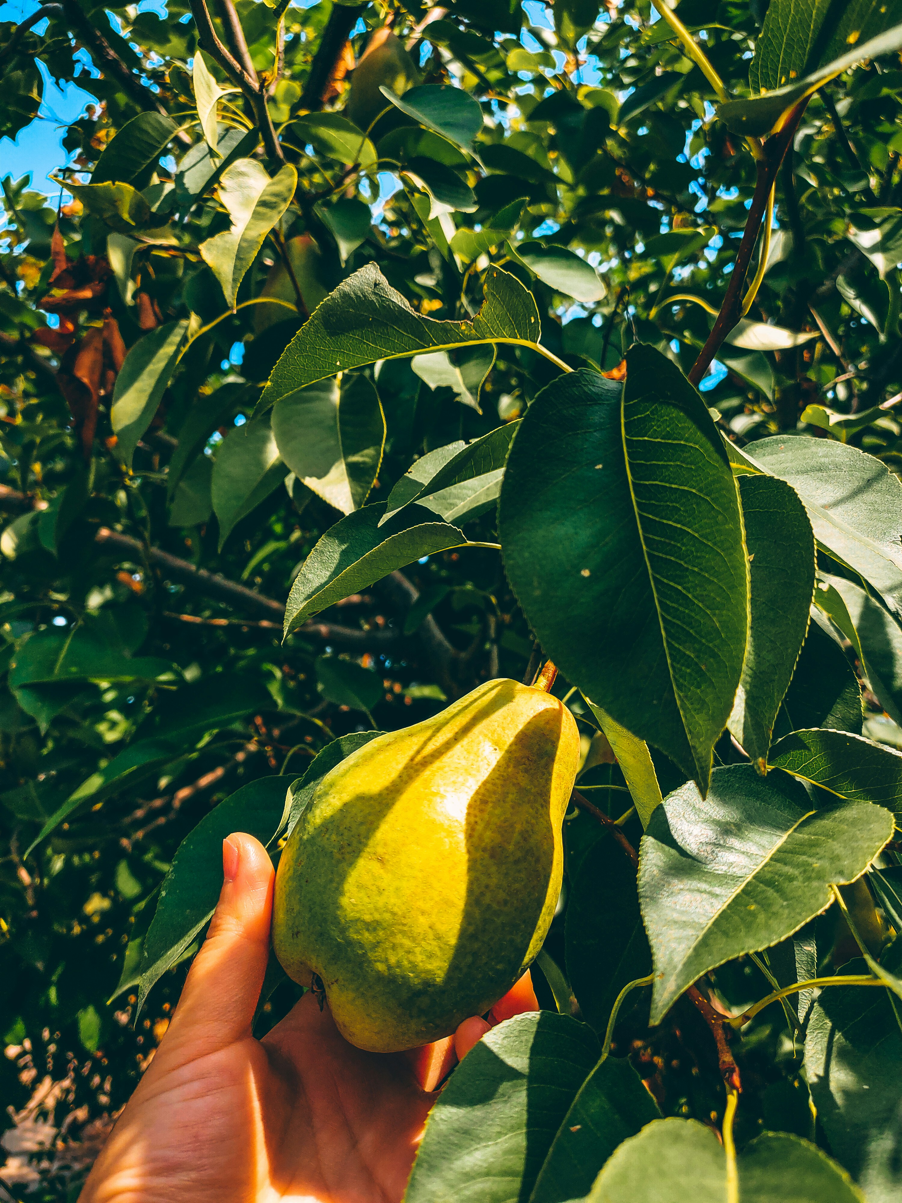 Photo by akmaralhood