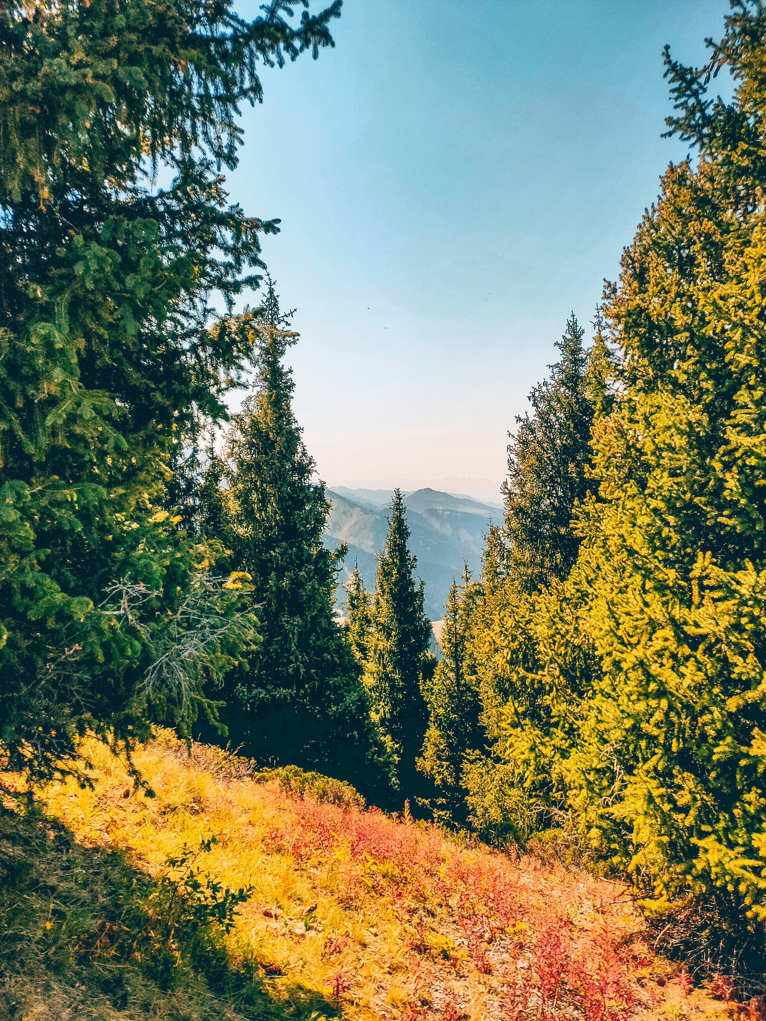 Photo by akmaralhood