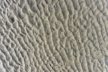 A close-up view of natural sand ripples created by the movement of water. The texture is wavy and uneven, with a series of curved ridges and valleys.
