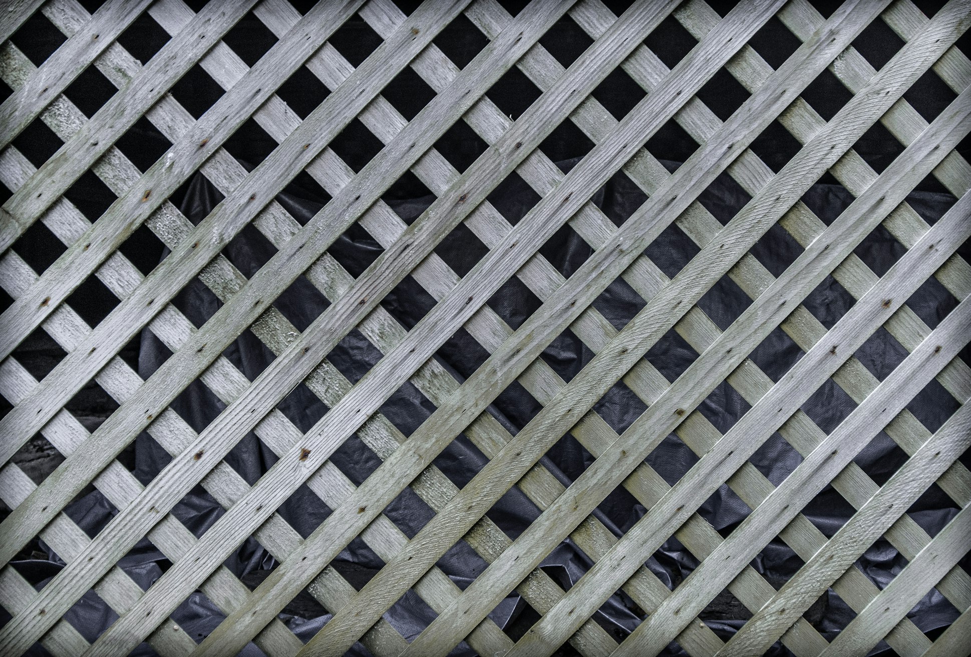 Image of a Lattice Dog Fence