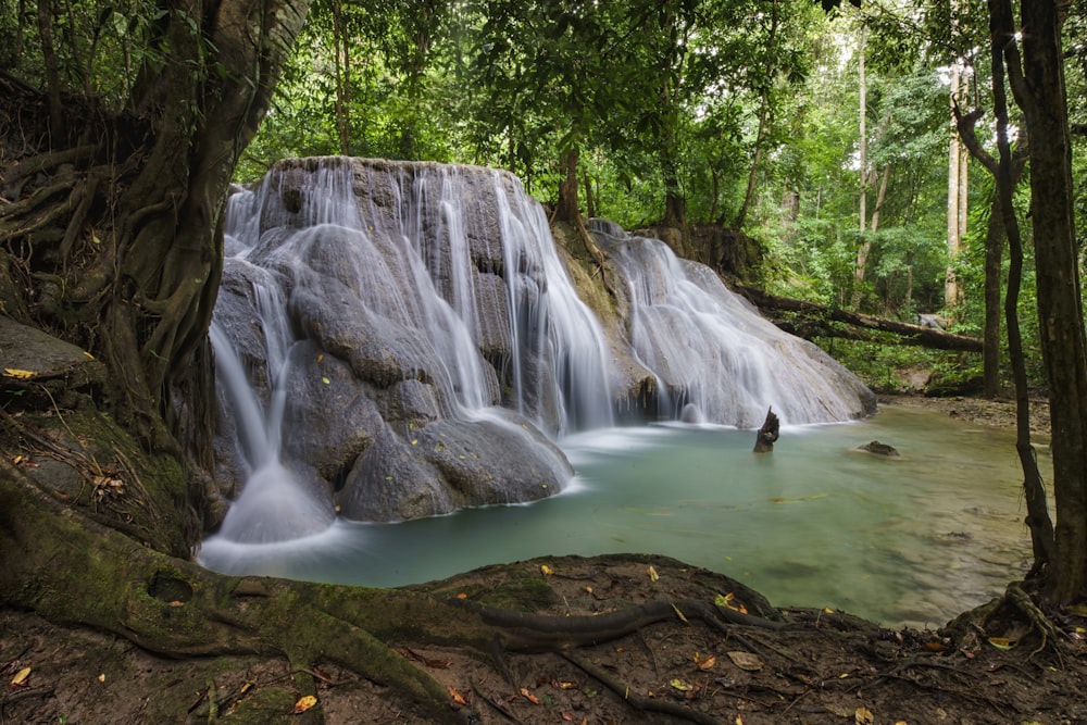 water falls in the middle of the forest