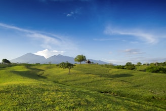indonesia travel itinerary