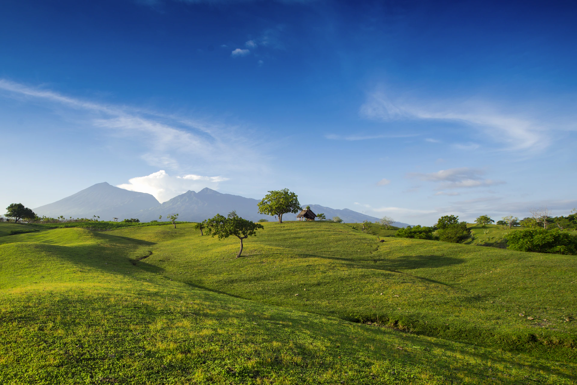 green grass field under blue sky during daytime