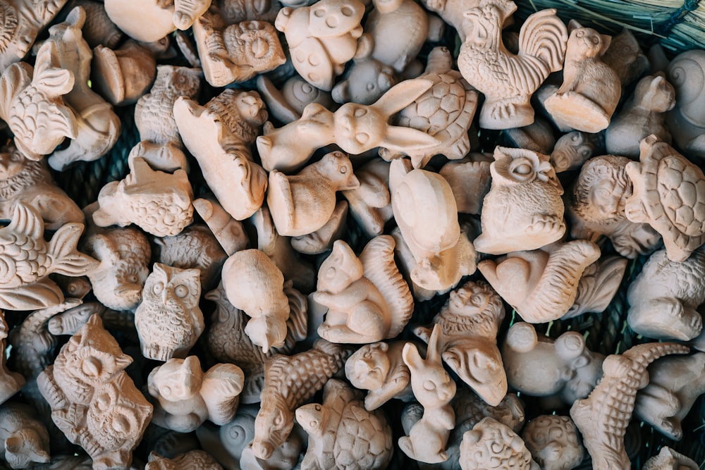 white and brown seashells on brown wooden table