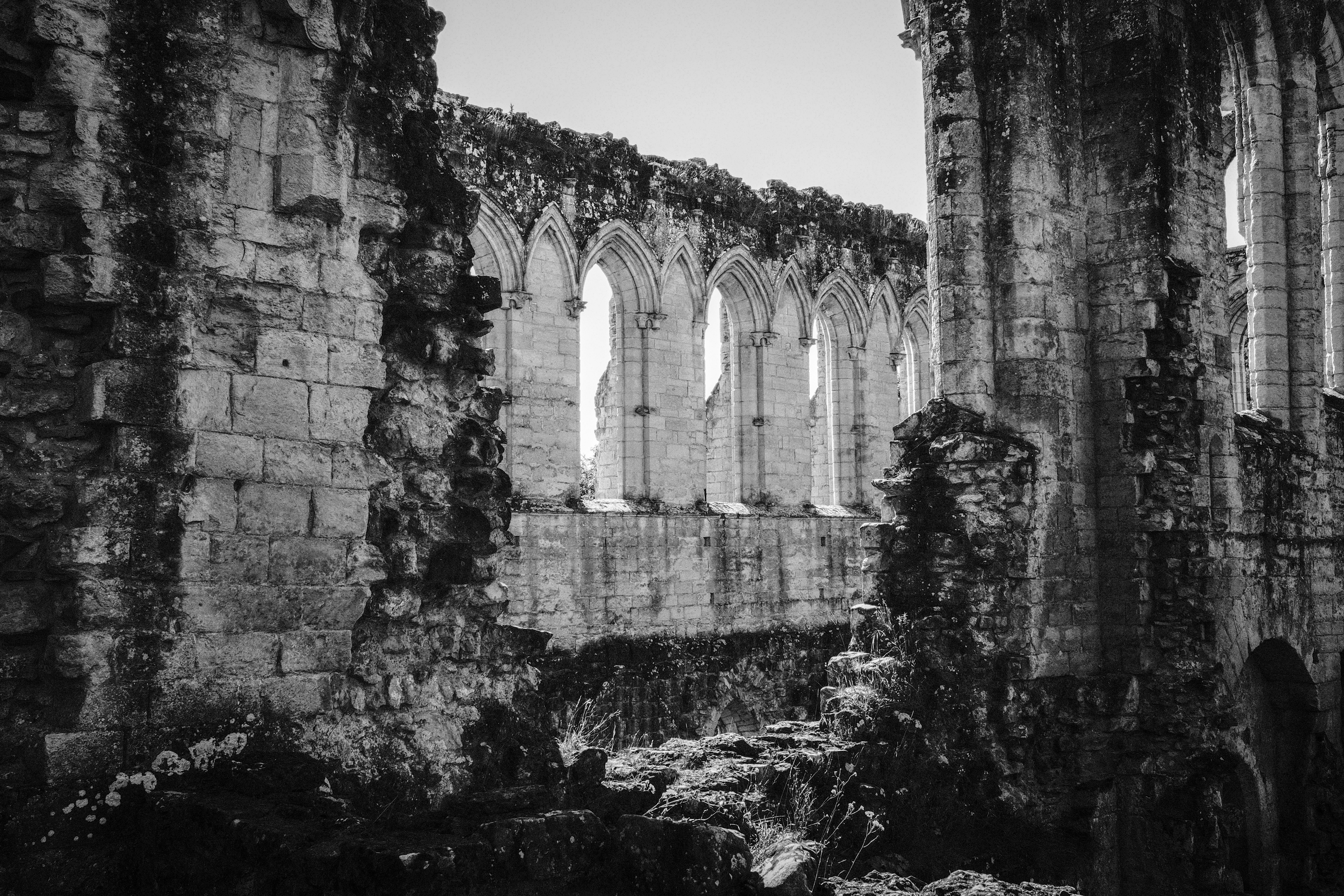 Photo by tomasrobertson