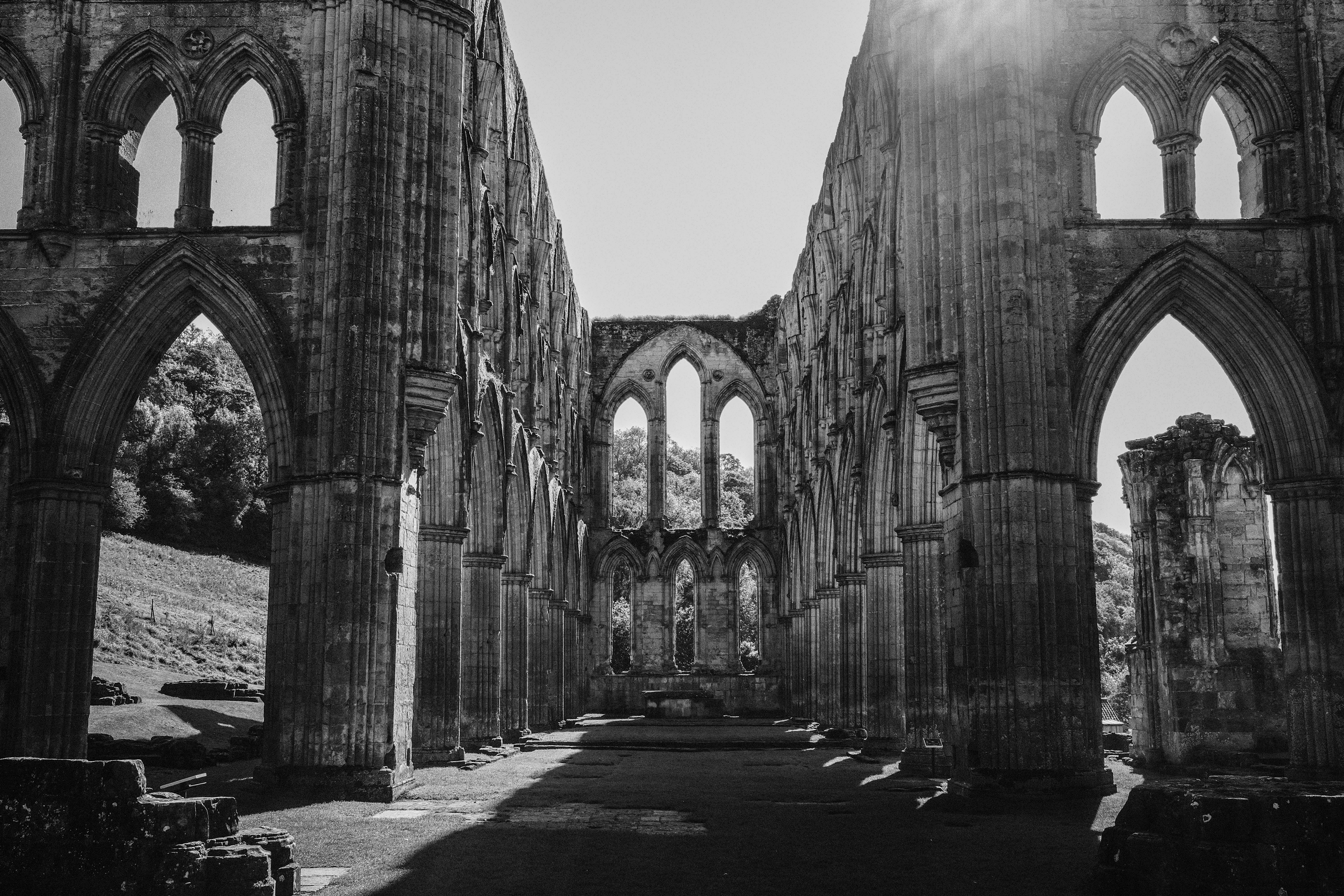 Photo by tomasrobertson