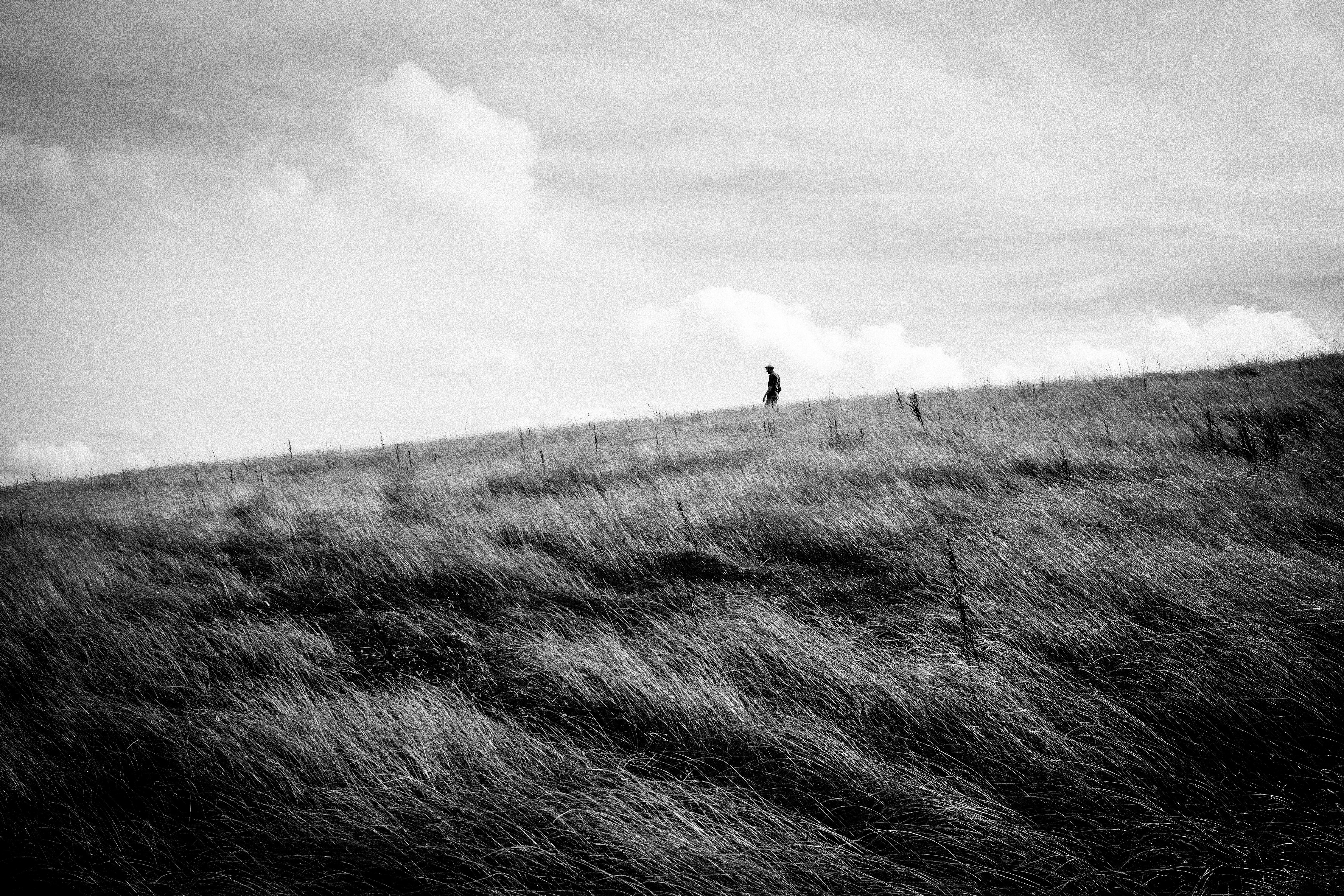 Photo by tomasrobertson