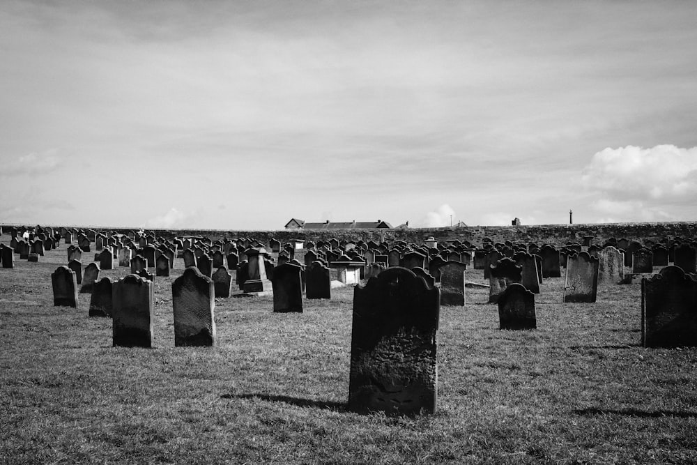 grayscale photo of a field with a lot of black and white houses