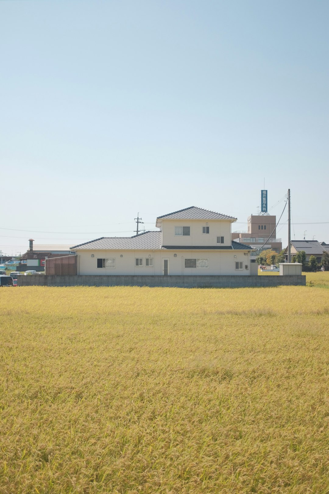 white and brown house on green grass field during daytime