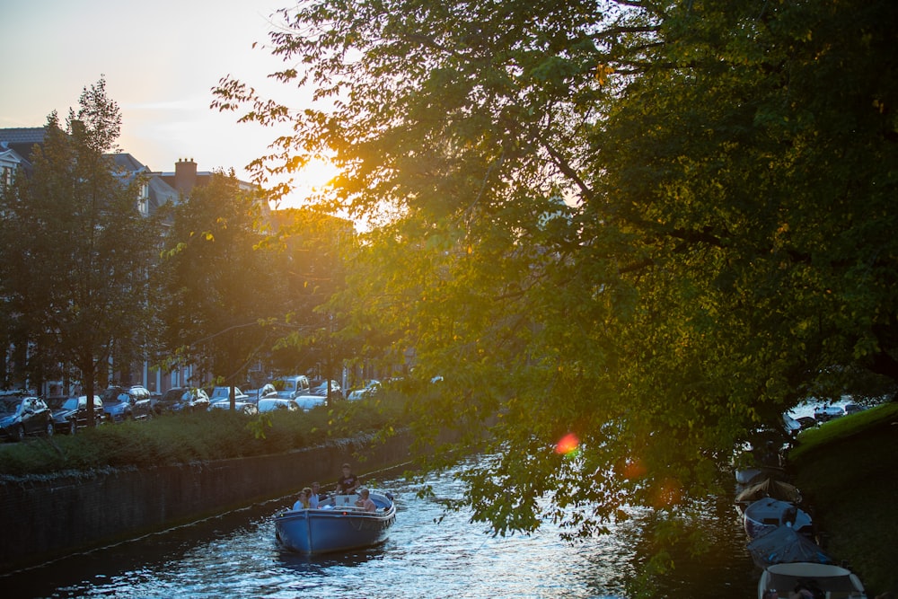 green trees beside river during daytime