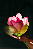 Close-up of Periel’s hands gently holding a blooming lotus flower against a soft earth-toned background