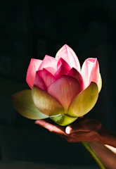Close-up of hands holding a small glowing lotus flower illuminating softly.