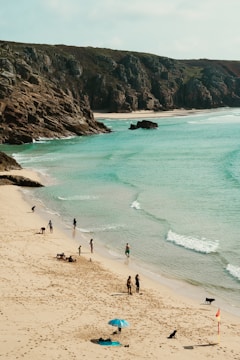 people on beach during daytime