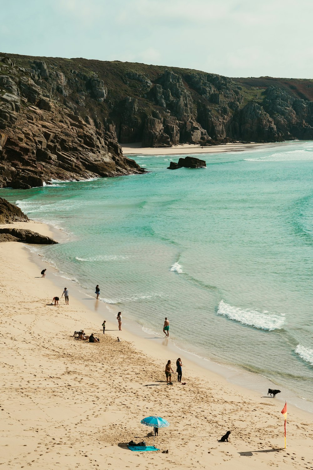 people on beach during daytime