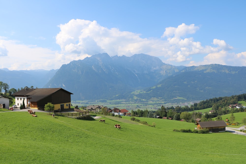 brown house on green grass field near mountains under white clouds and blue sky during daytime