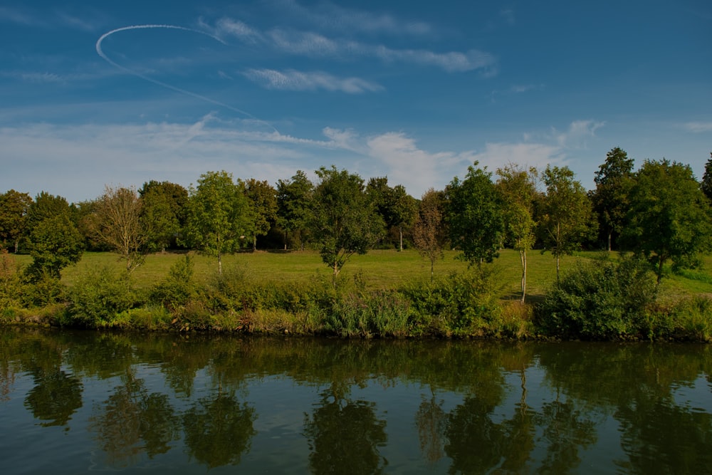 green grass field near lake under blue sky during daytime