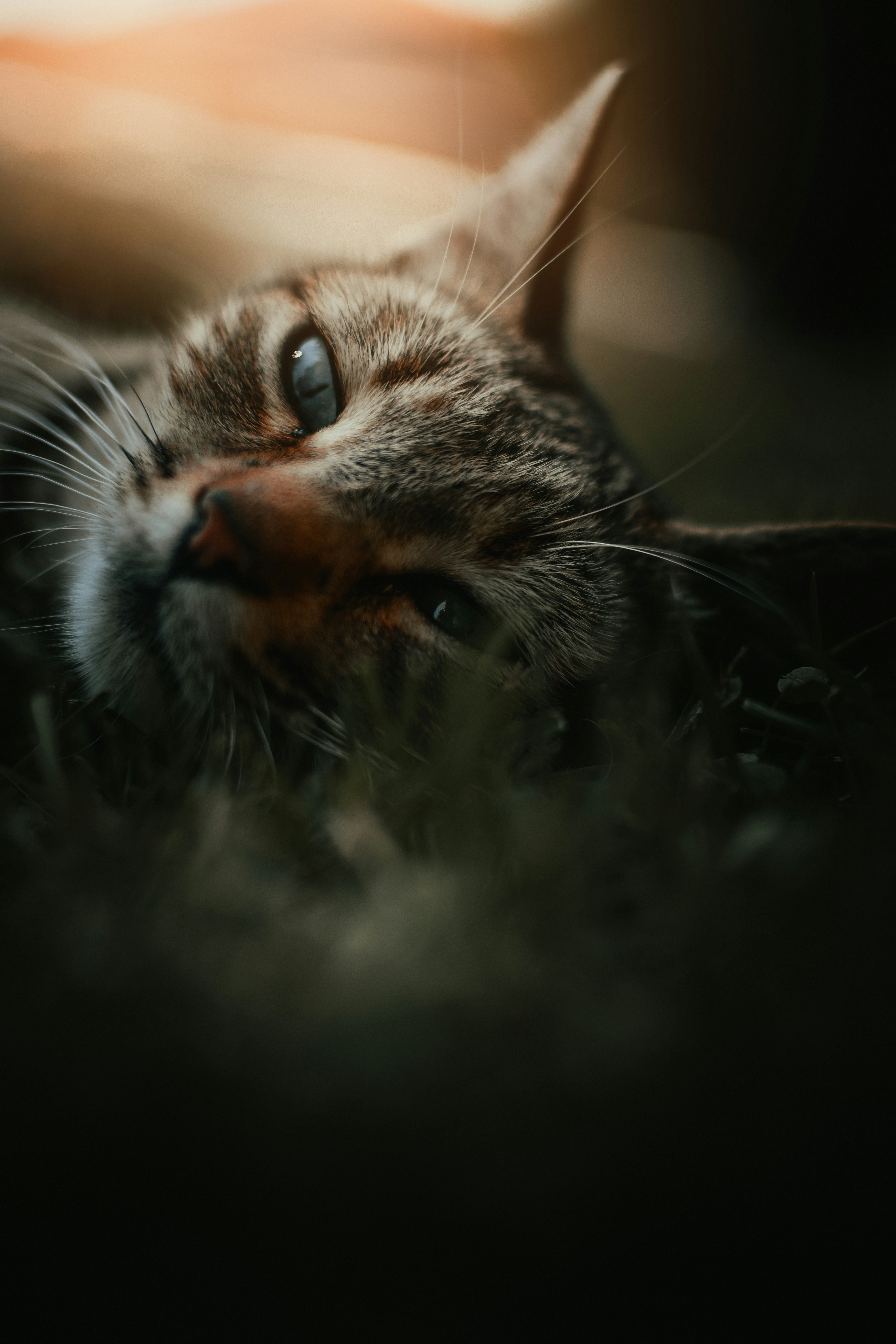 Photo by nicolastsakos