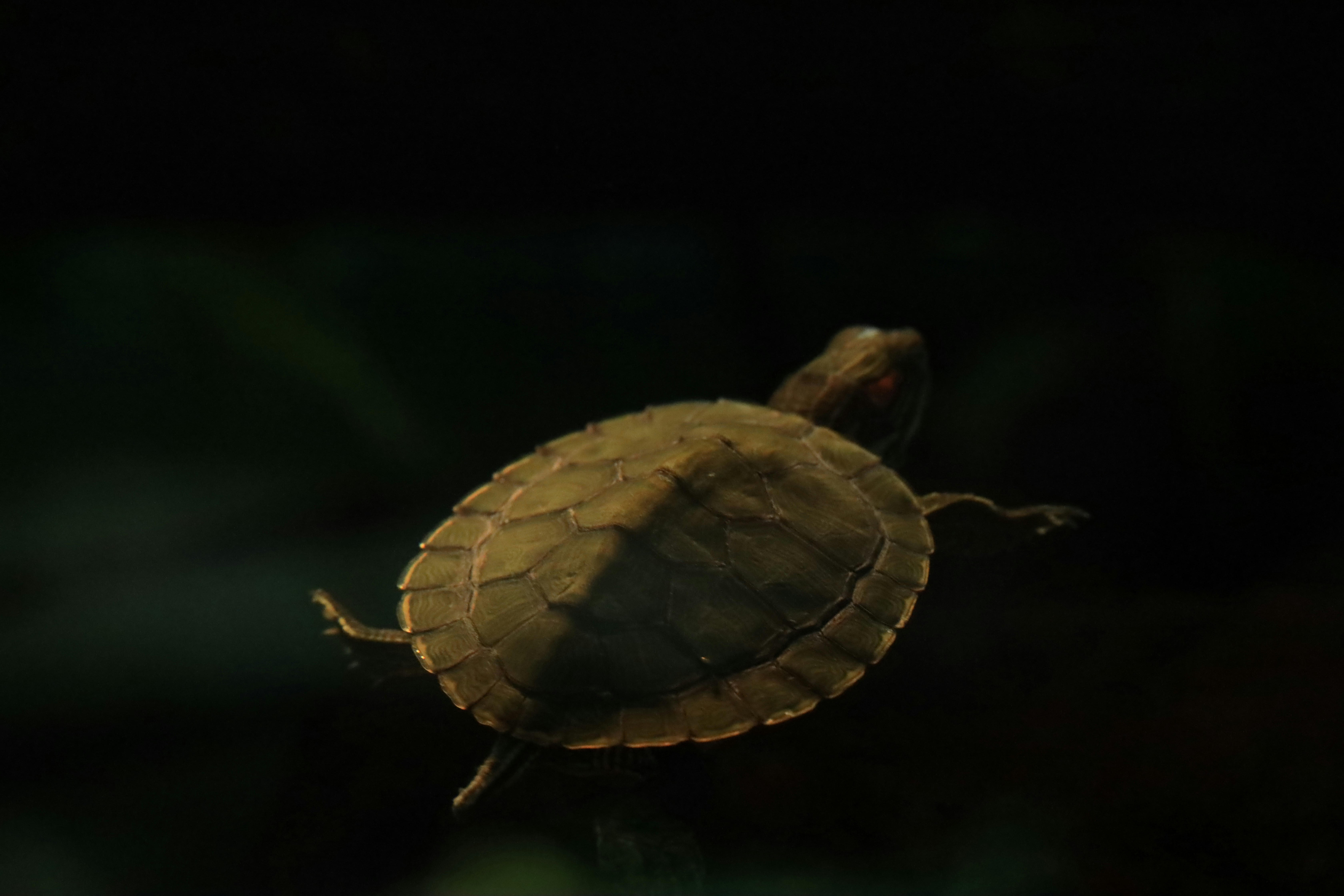 Photo by richardworks