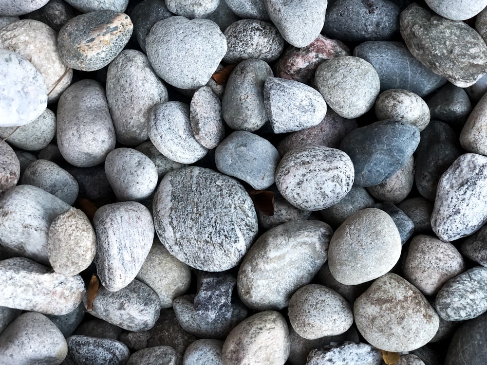 gray and white stone fragments