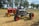 Two vintage tractors are parked on a grassy field, surrounded by trees and a few vehicles in the background. The tractor on the left is red with yellow wheels and labeled 'Massey Harris', while the tractor on the right is dark gray with red wheels and labeled 'Farmall'. The scene appears to be part of a show or exhibition, with a serene rural setting.