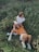woman in white shirt sitting on green grass