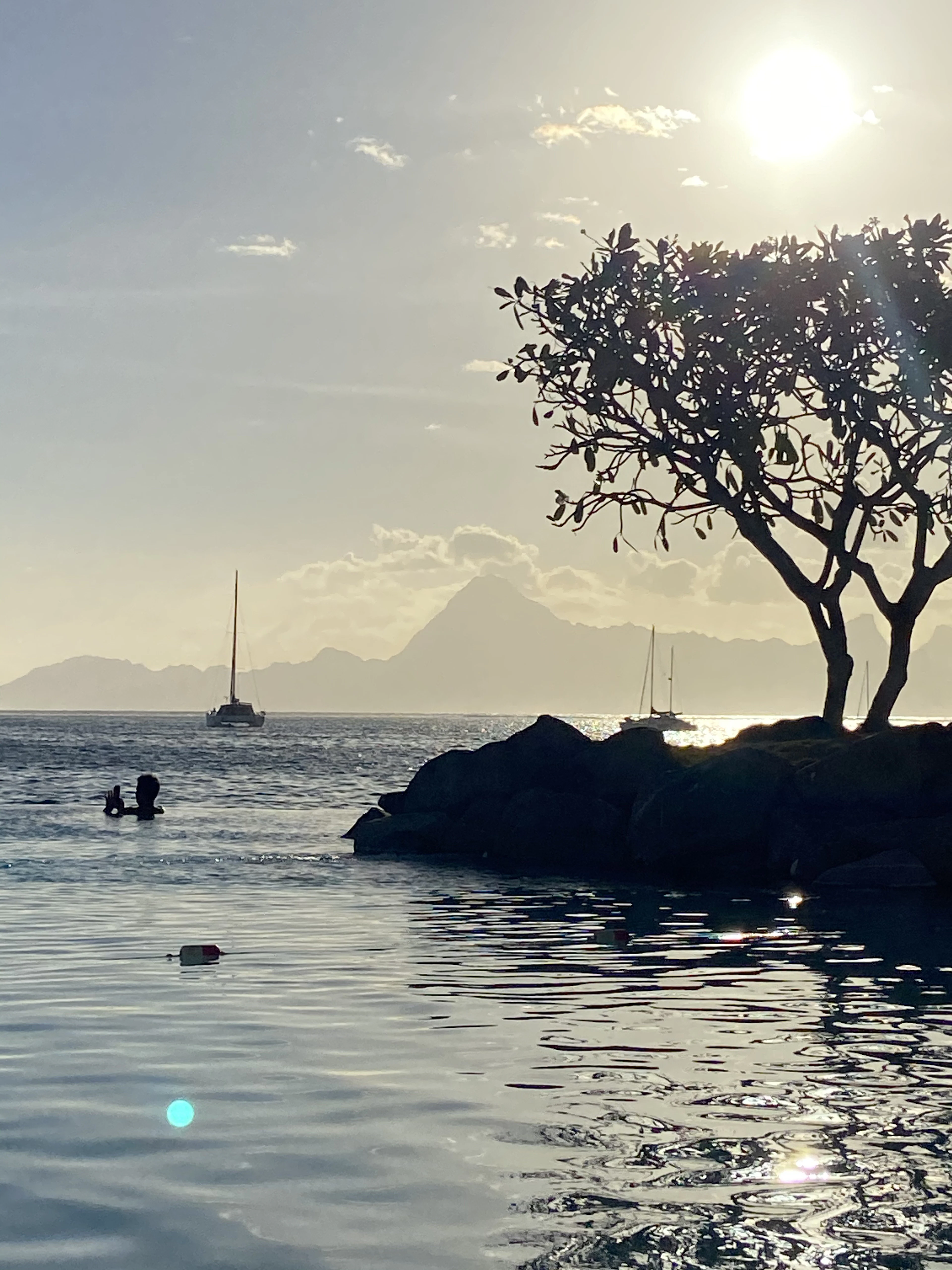 Evening on the shore at Papeete: a tree and rocks by the water, yachts at anchor and the peaks of Moorea in silhouette across the channel