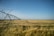 A vast agricultural field with golden wheat stretches into the distance under a clear blue sky. The field is bisected by an irrigation system composed of metallic structures extending in a linear arrangement, casting shadows across the plants.