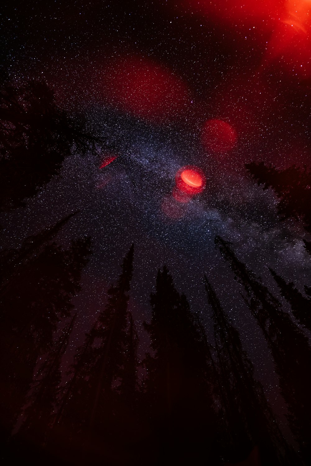 red and black galaxy with stars