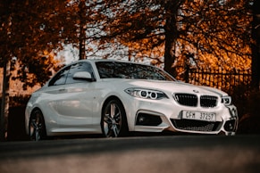 white bmw m 3 coupe parked near brown trees during daytime