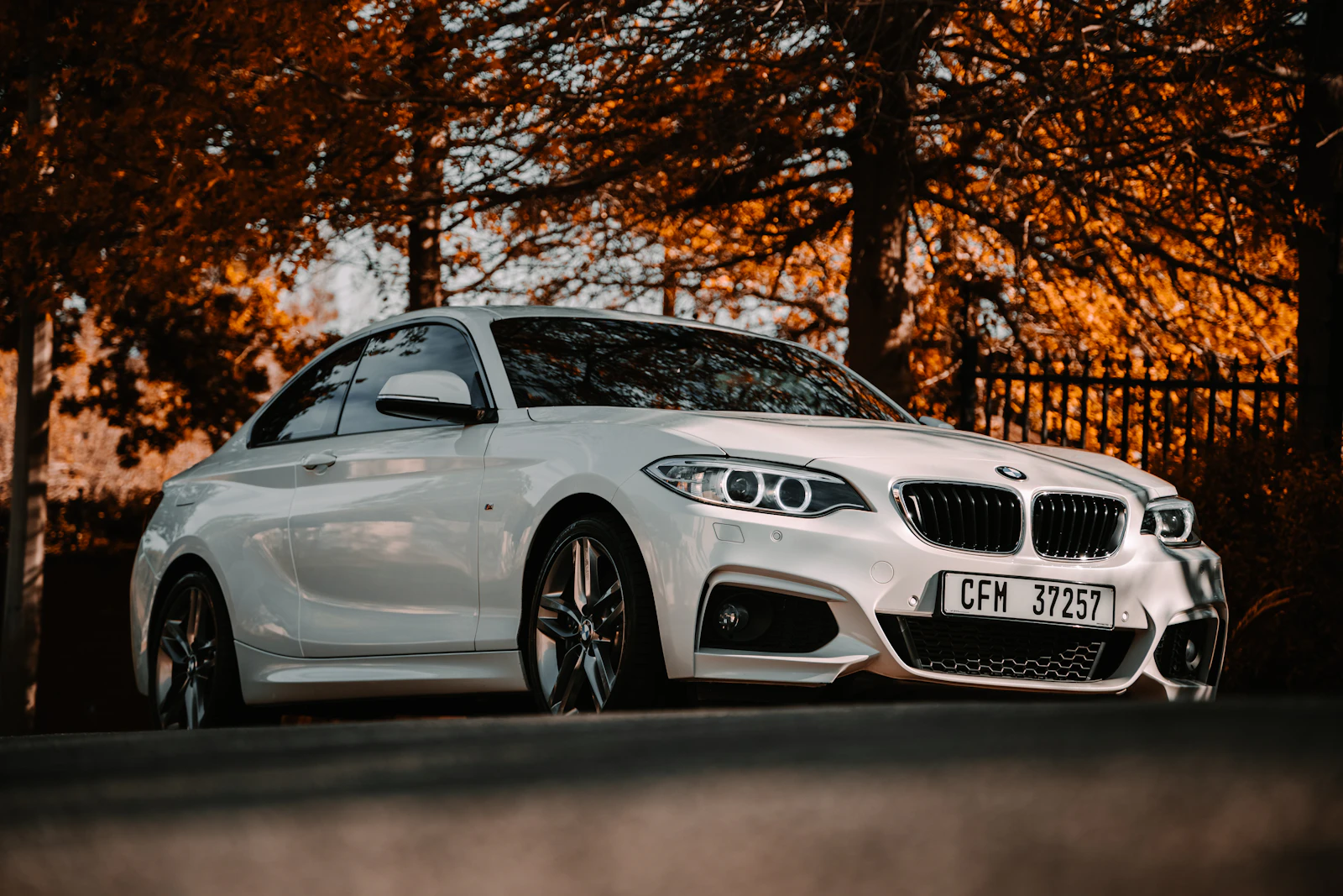 Courtesy cars