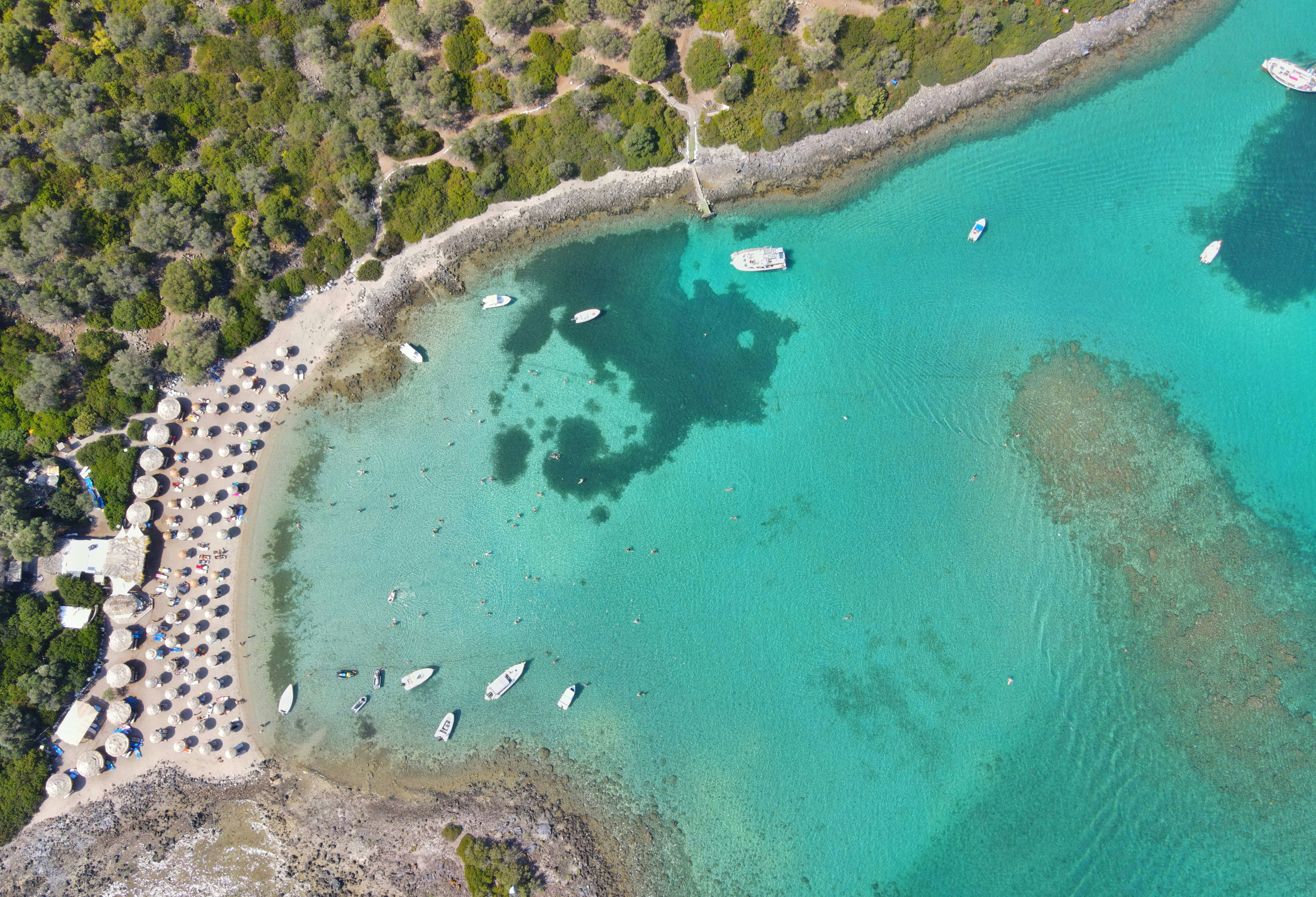 aerial view of green trees and body of water during daytime