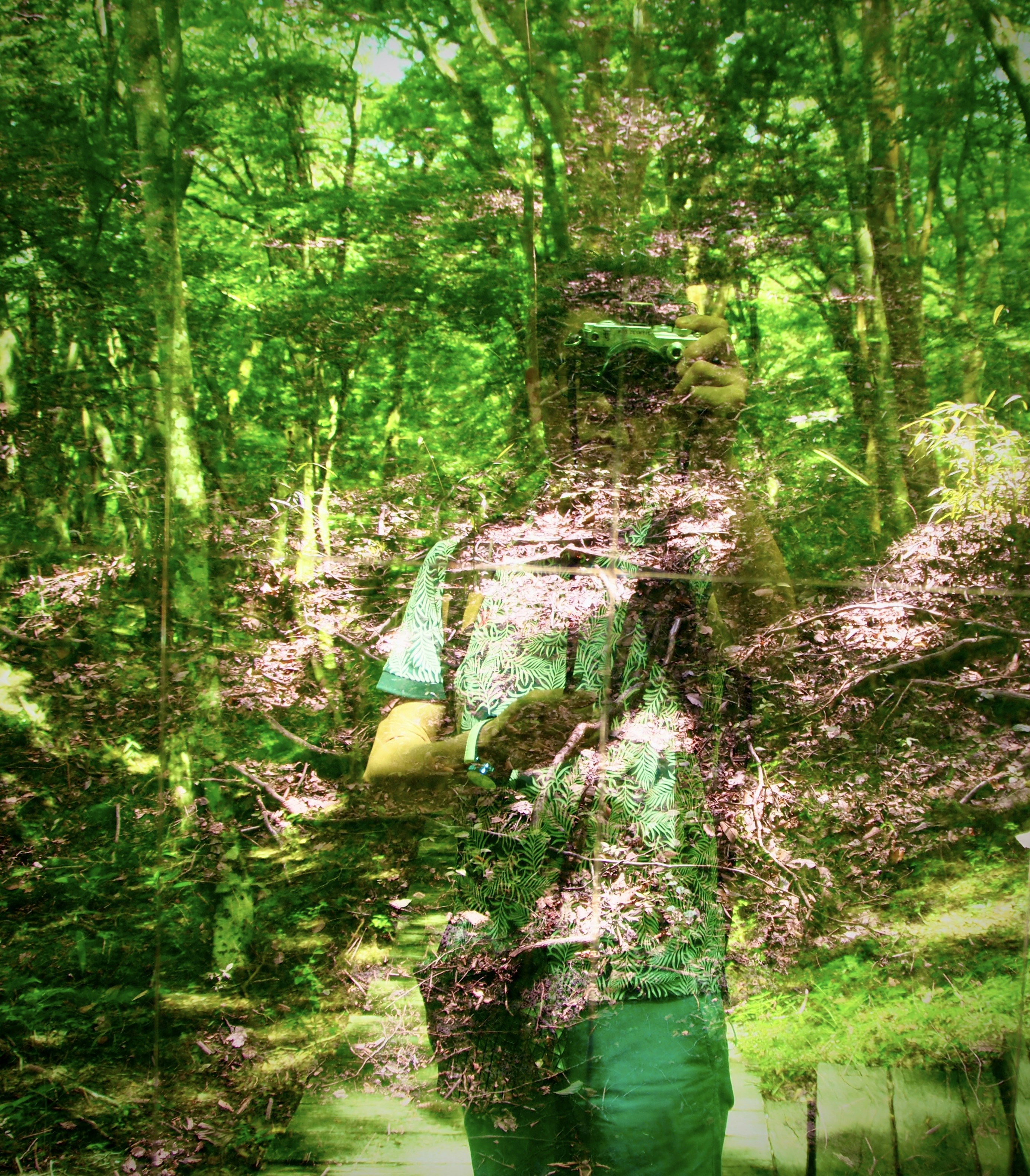 green trees on green grass field during daytime