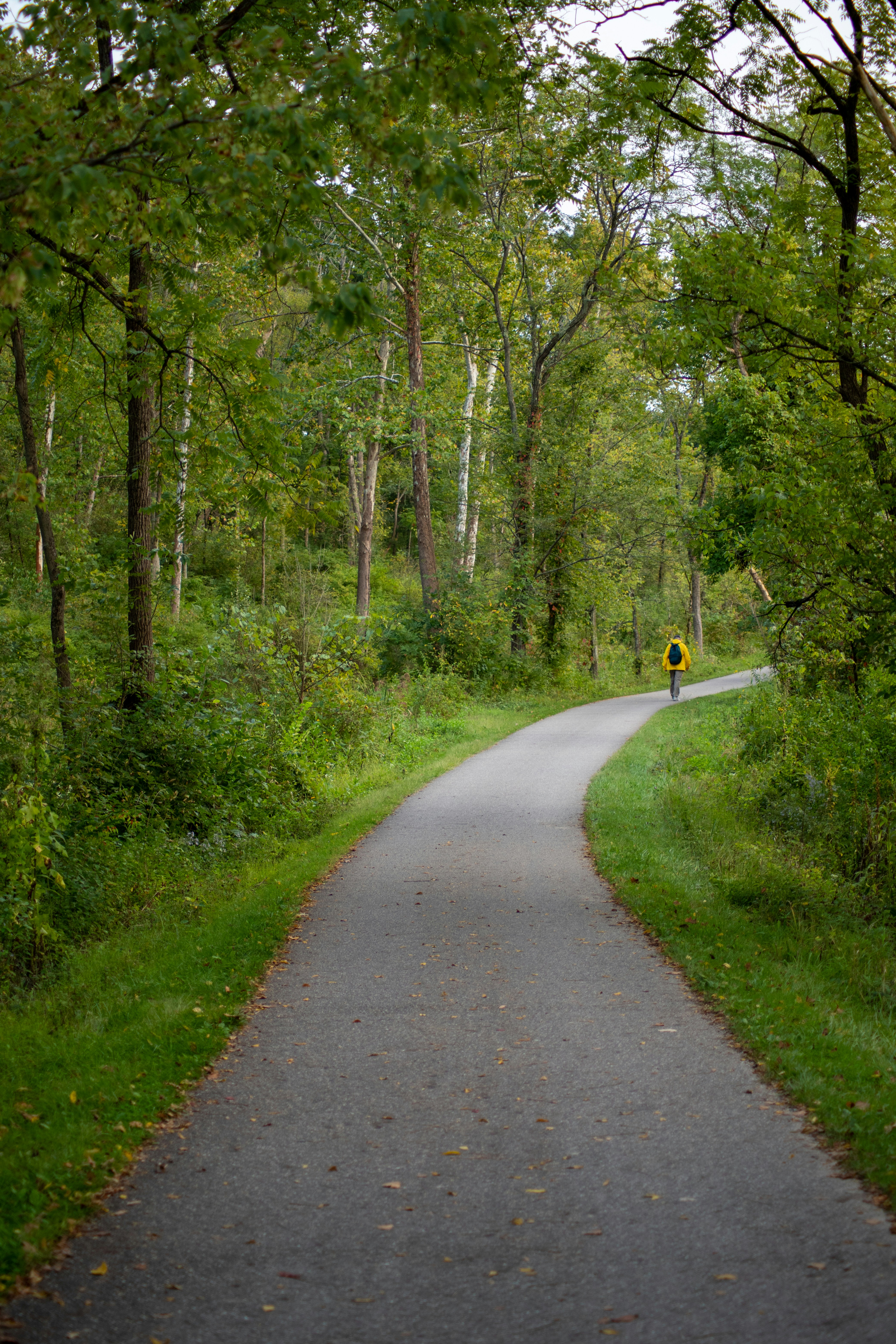 Photo by drkolomiyets