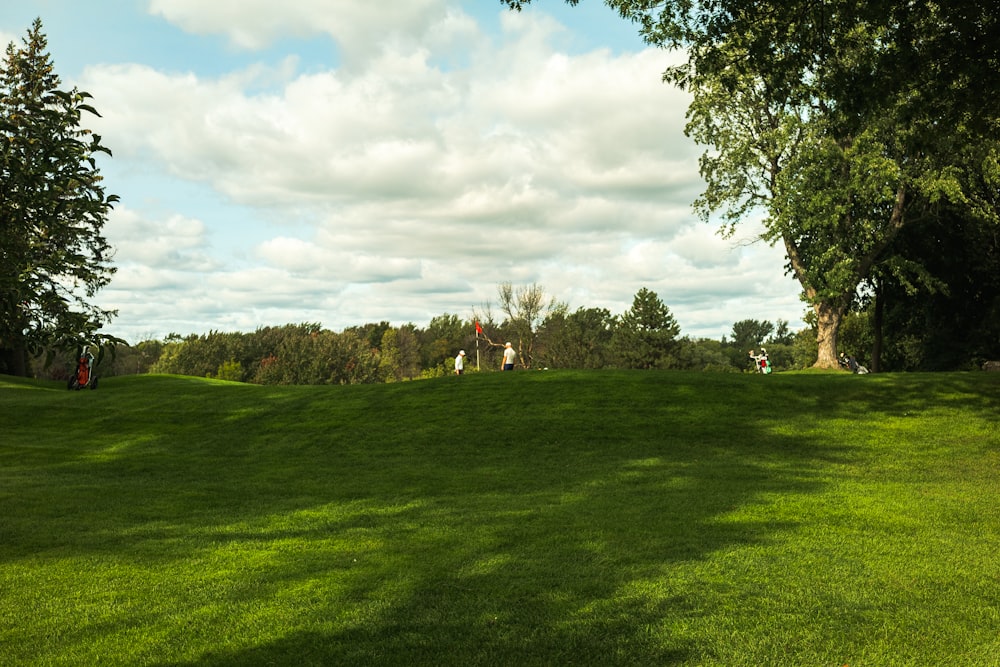 campo de hierba verde con árboles bajo nubes blancas y cielo azul durante el día