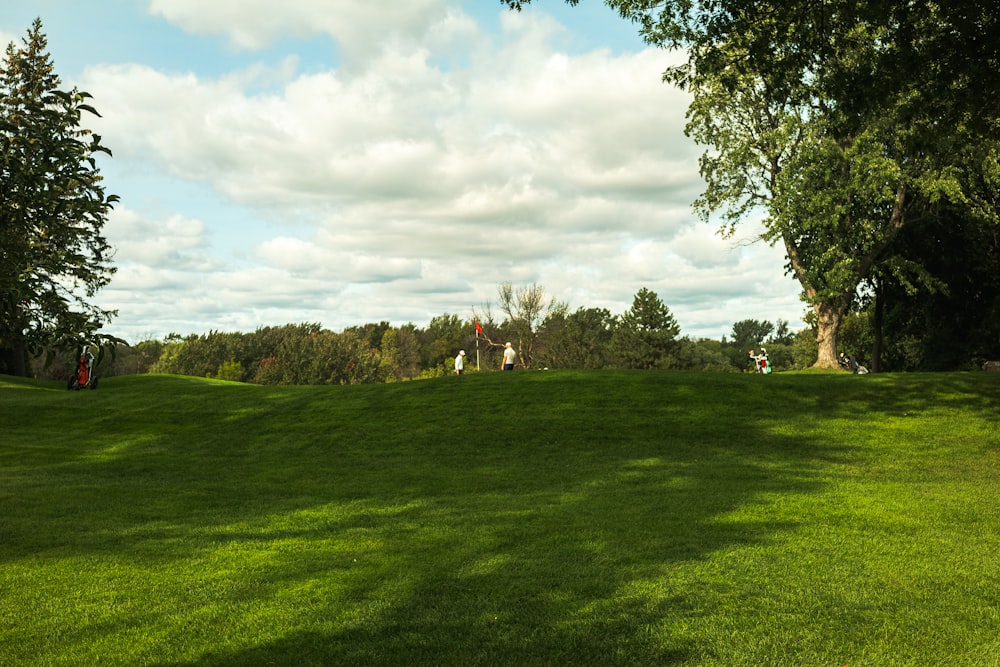 green grass field with trees under white clouds and blue sky during daytime