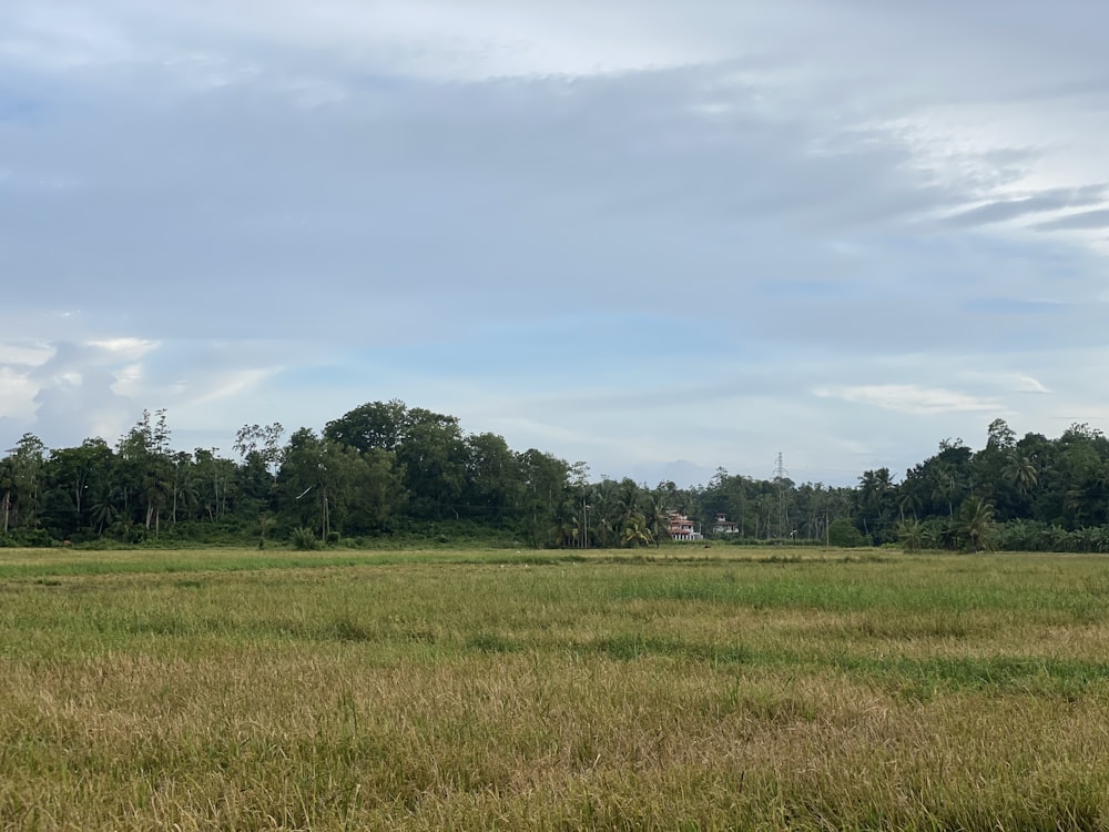 Grüner Rasenplatz unter weißen Wolken tagsüber