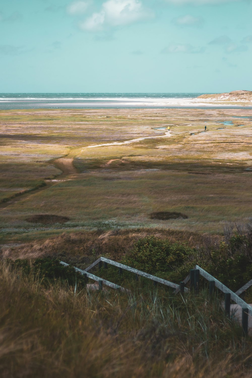 brown grass field near body of water during daytime