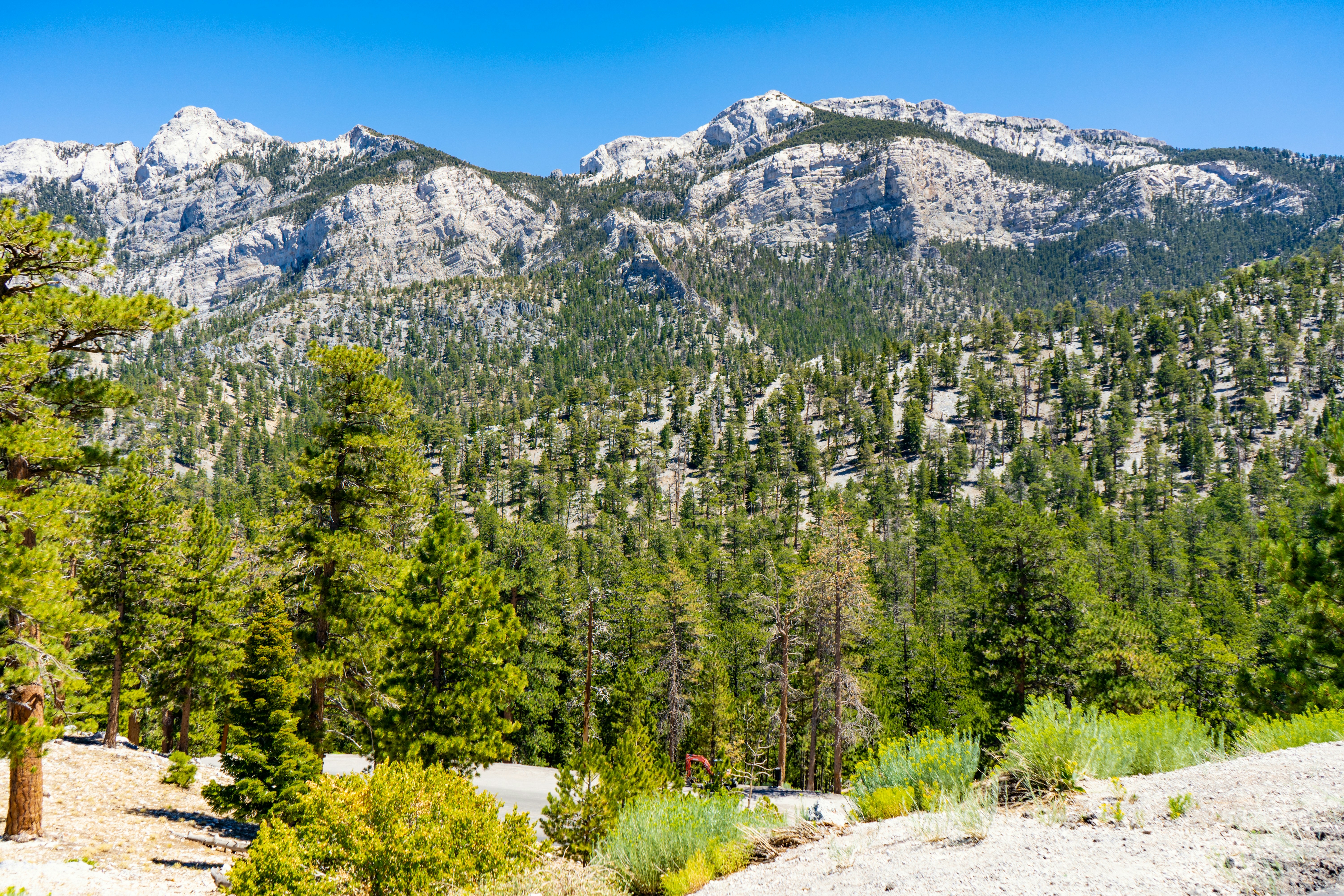 Photo by montero_moments